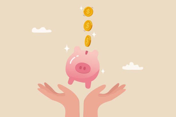 探秘新加坡银行深度解析金融业务的多样选择